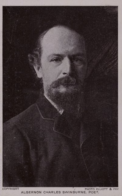 Algernon Charles Swinburne (1837-1909), Engelse dichter en toneelschrijver door English Photographer